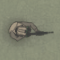Dinogen Online