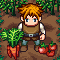 Farm Rush