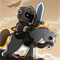 King's Rider