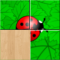 Live Puzzle