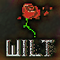 Wilt Last Blossom