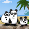 3 Pandas