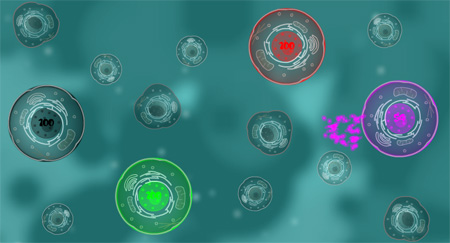 phagewars21
