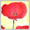 koreanmarine