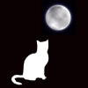 /image/armatar_1040_120.120_c_ou.png