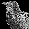 /image/armatar_1041_120.120_c_ou.png