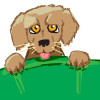 /image/armatar_1059_120.120_c_ou.png