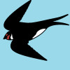 /image/armatar_1251_120.120_c_ou.png