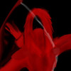 /image/armatar_1264_120.120_c_ou.png