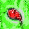 /image/armatar_1282_120.120_c_ou.png