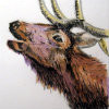 /image/armatar_522_120.120_c_ou.png