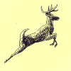 http://armorgames.com/image/armatar_525_60.60_c.jpg
