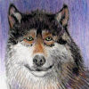 http://armorgames.com/image/armatar_526_60.60_c.jpg