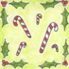 /image/armatar_531_120.120_c_ou.png