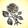 /image/armatar_592_120.120_c_ou.png