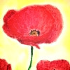 /image/armatar_593_120.120_c_ou.png
