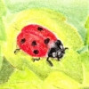 /image/armatar_594_120.120_c_ou.png