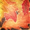 /image/armatar_726_120.120_c_ou.png