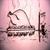 /image/armatar_737_120.120_c_ou.png
