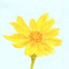 /image/armatar_917_120.120_c_ou.png