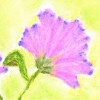 /image/armatar_919_120.120_c_ou.png