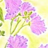/image/armatar_931_120.120_c_ou.png